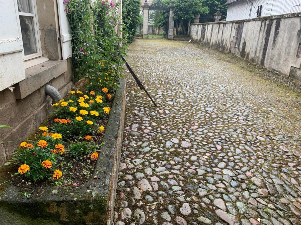 Les Jardins D'Elise, Calme Et Verdure A Lure Люр Екстер'єр фото