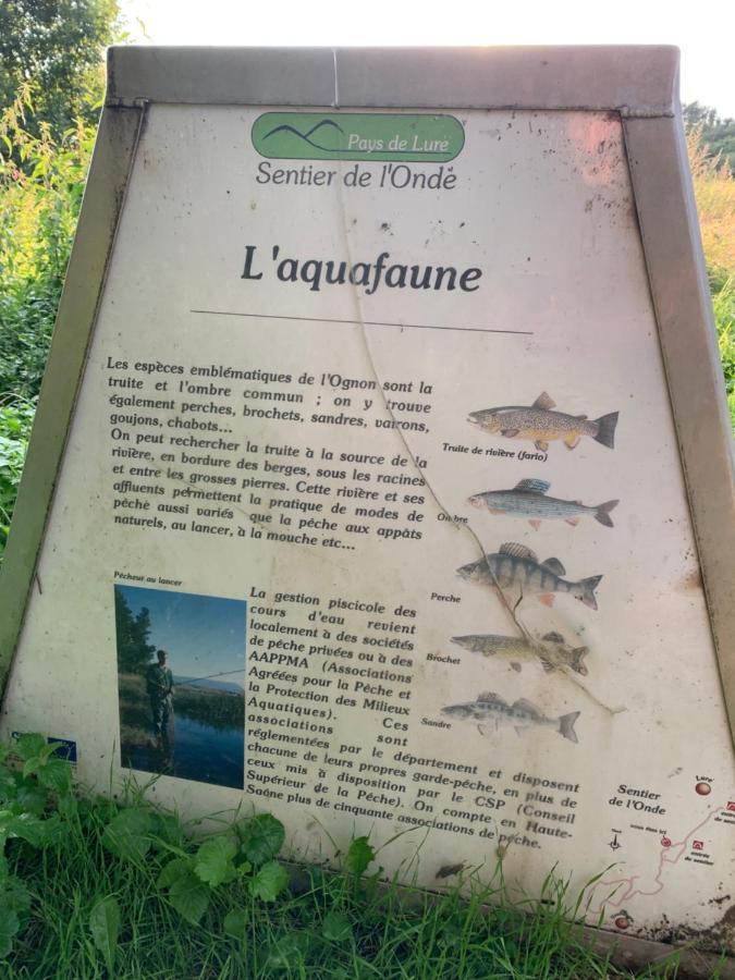 Les Jardins D'Elise, Calme Et Verdure A Lure Люр Екстер'єр фото